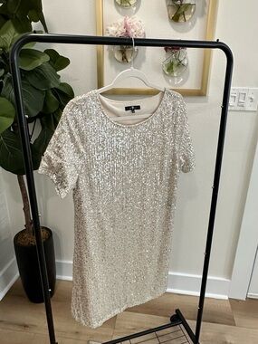 7 For All Mankind Sequin T-Shirt Mini Dress | Size L | Champagne Silver